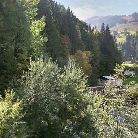 Apartment In Salzburgerland Near The Ski Area Viehhofen Bagian luar foto