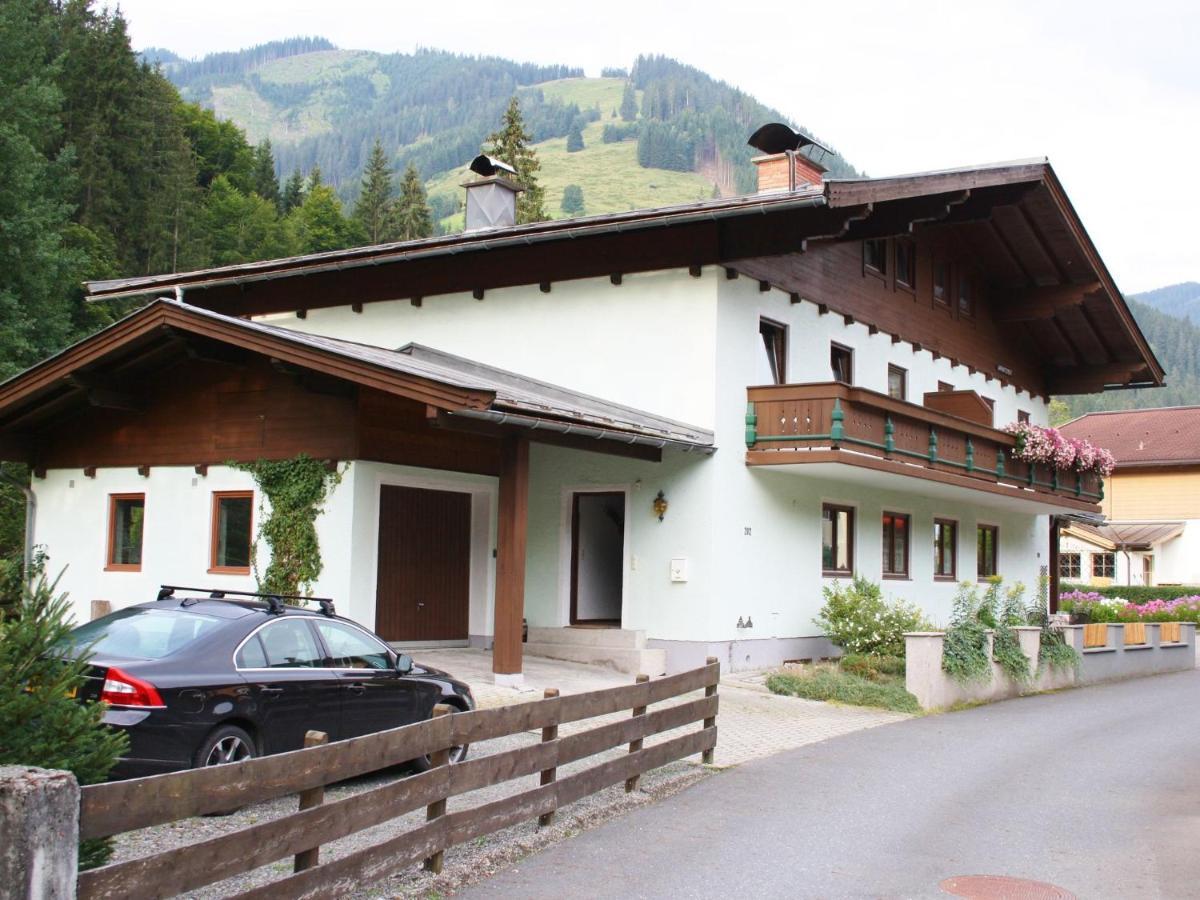 Apartment In Salzburgerland Near The Ski Area Viehhofen Bagian luar foto