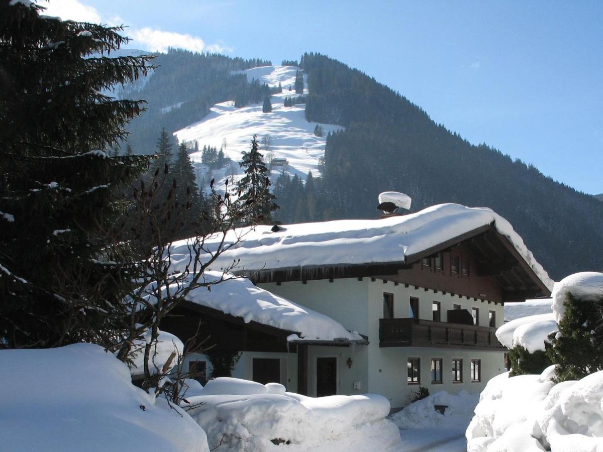 Apartment In Salzburgerland Near The Ski Area Viehhofen Bagian luar foto