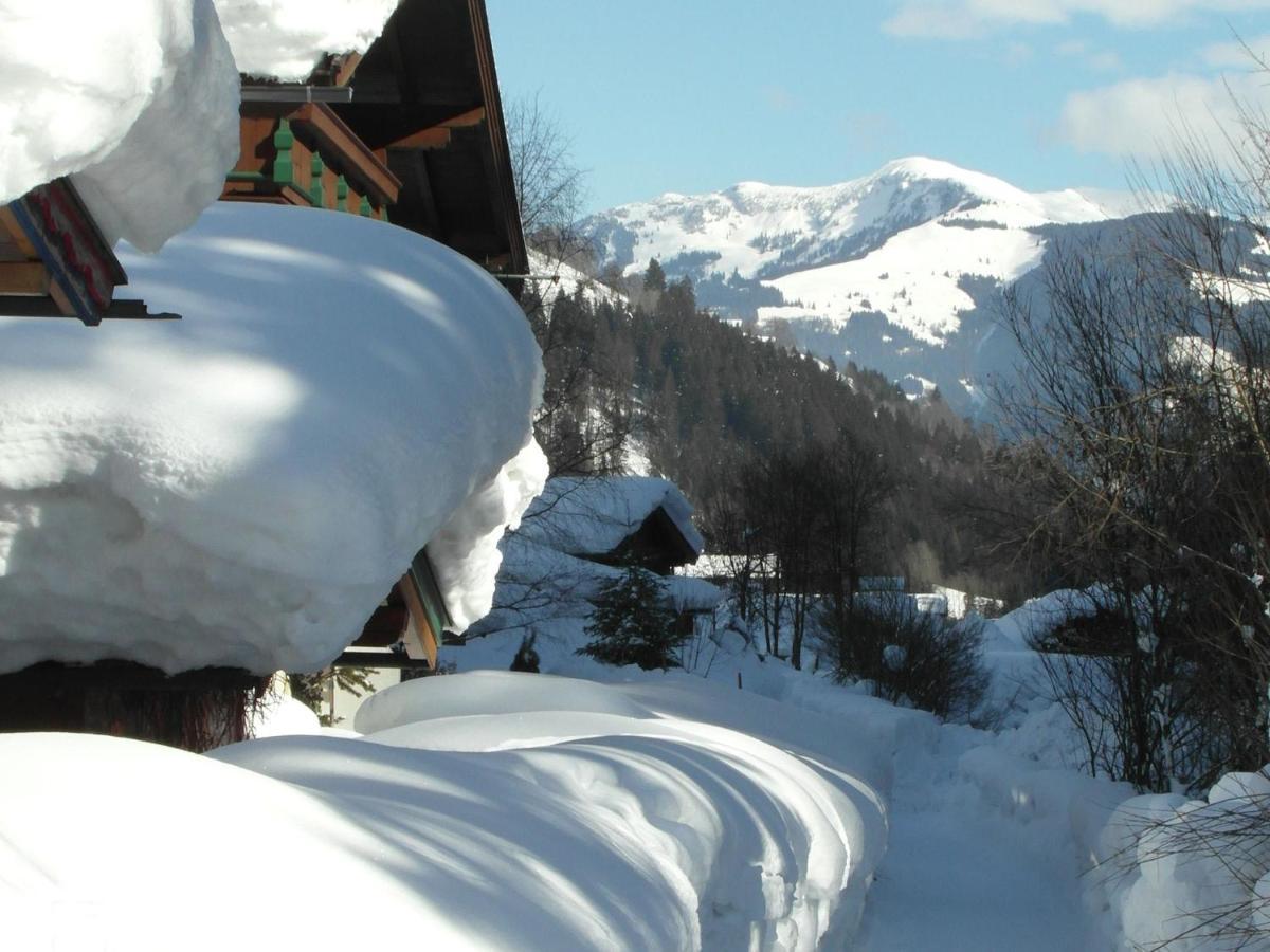 Apartment In Salzburgerland Near The Ski Area Viehhofen Bagian luar foto