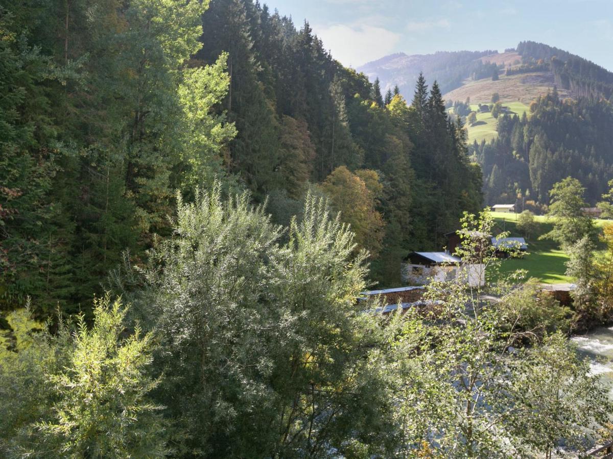 Apartment In Salzburgerland Near The Ski Area Viehhofen Bagian luar foto