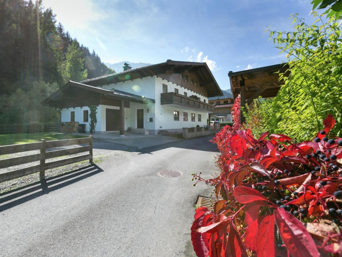 Apartment In Salzburgerland Near The Ski Area Viehhofen Bagian luar foto