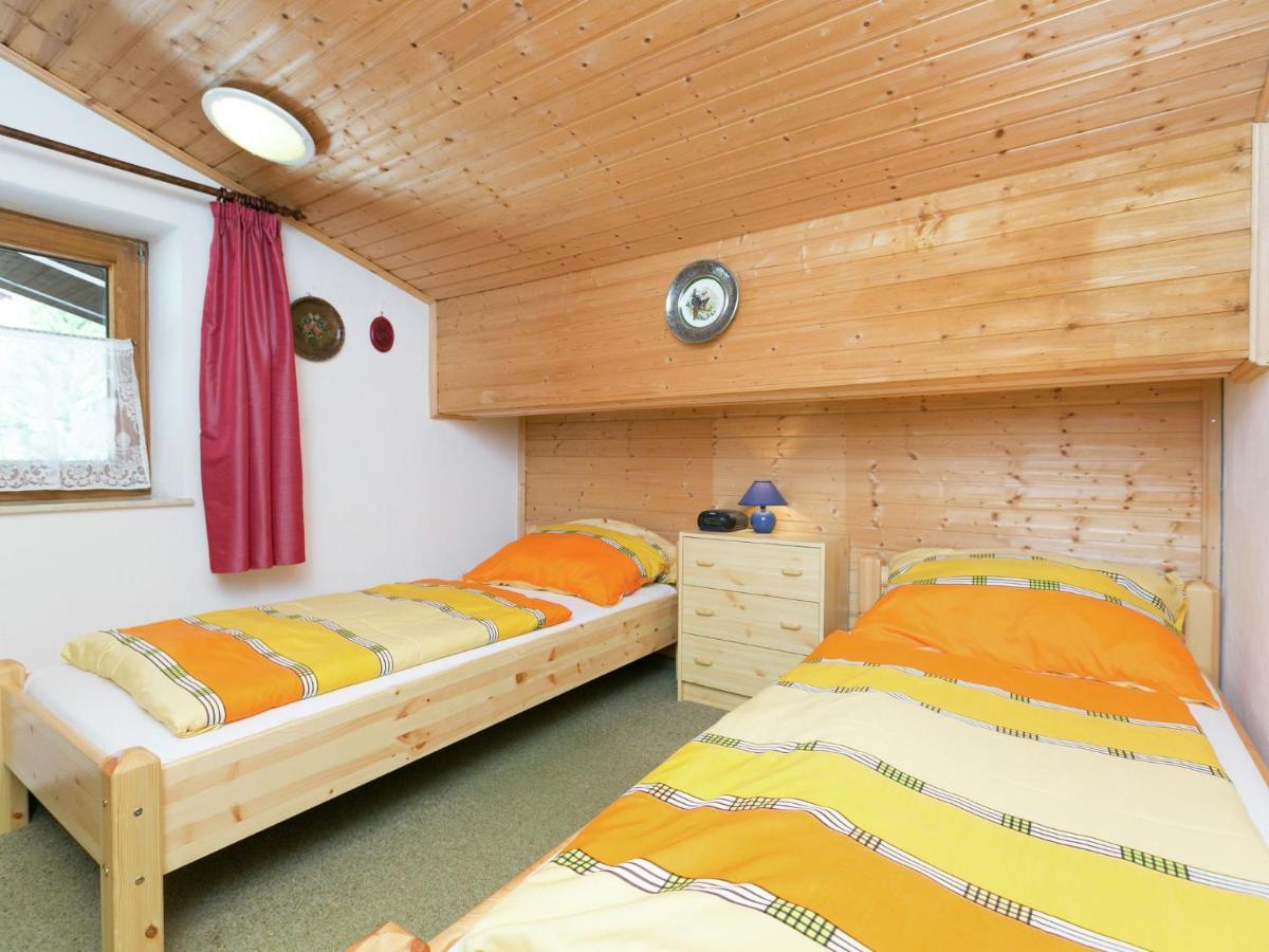 Apartment In Salzburgerland Near The Ski Area Viehhofen Bagian luar foto