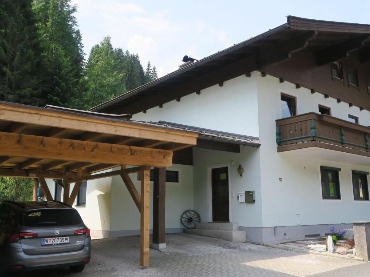 Apartment In Salzburgerland Near The Ski Area Viehhofen Bagian luar foto