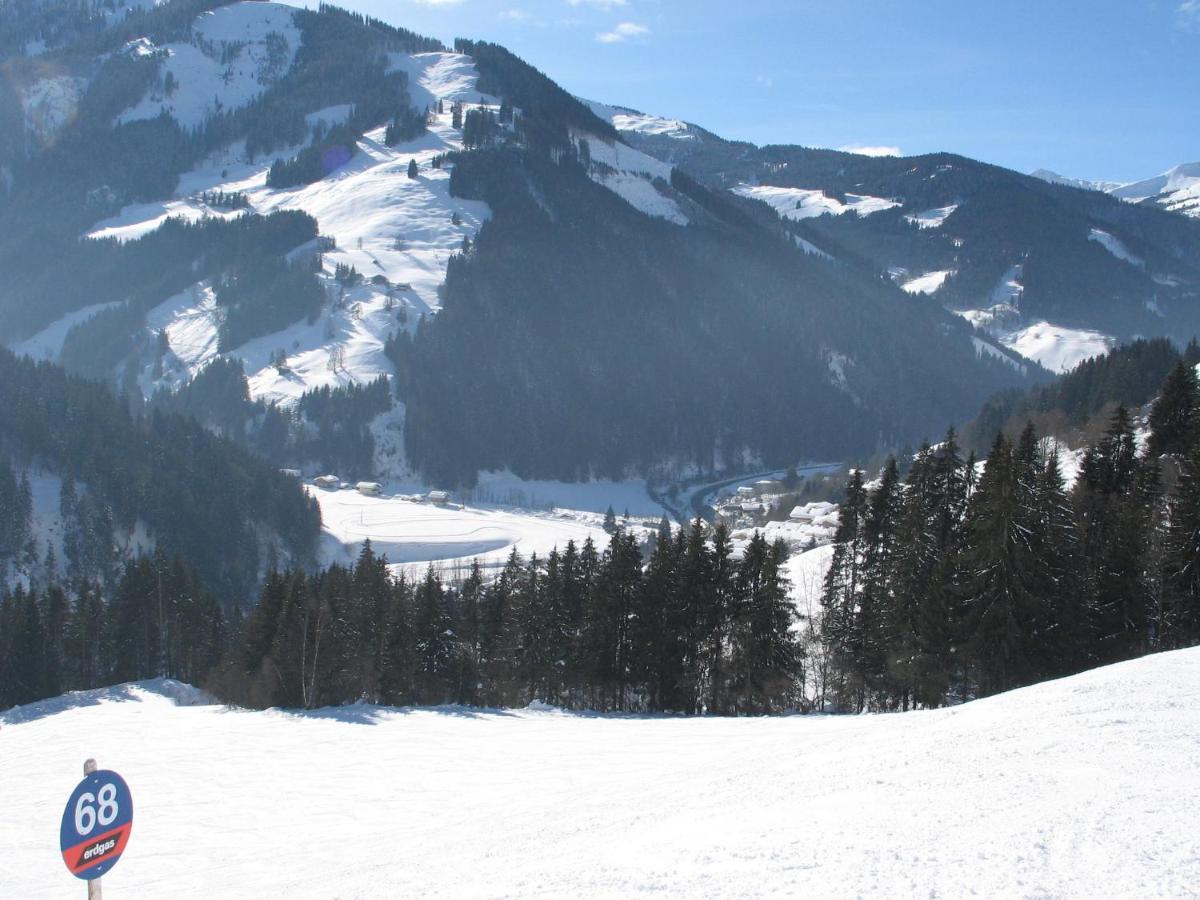 Apartment In Salzburgerland Near The Ski Area Viehhofen Bagian luar foto