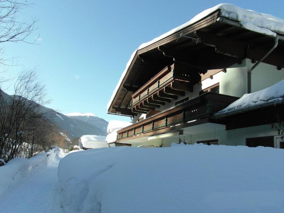 Apartment In Salzburgerland Near The Ski Area Viehhofen Bagian luar foto